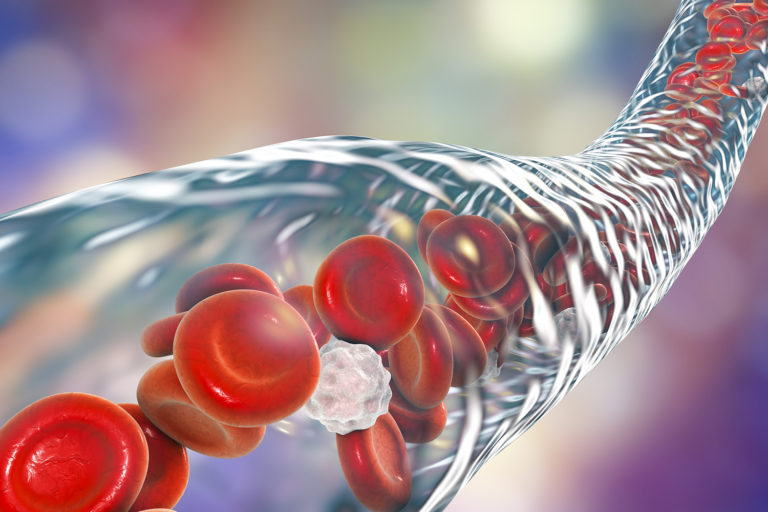 Blood vessel with flowing blood cells, 3D illustration